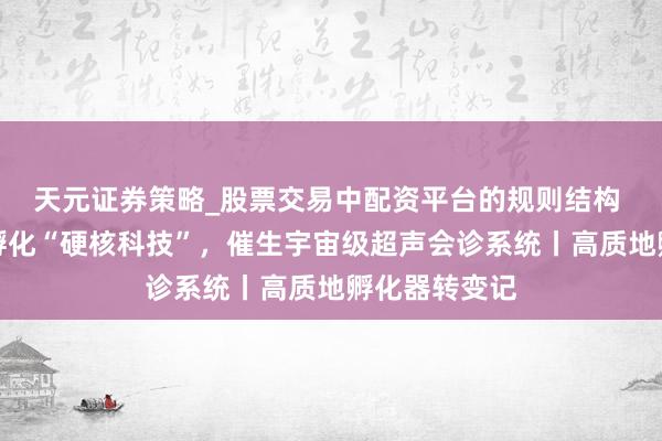天元证券策略_股票交易中配资平台的规则结构 全方向作事孵化“硬核科技”，催生宇宙级超声会诊系统丨高质地孵化器转变记