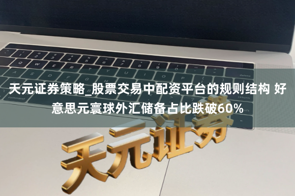 天元证券策略_股票交易中配资平台的规则结构 好意思元寰球外汇储备占比跌破60%