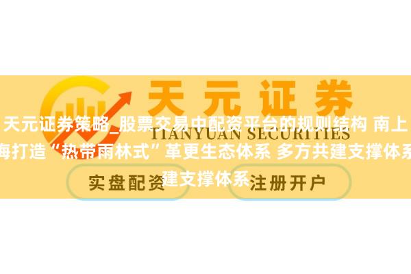 天元证券策略_股票交易中配资平台的规则结构 南上海打造“热带雨林式”革更生态体系 多方共建支撑体系