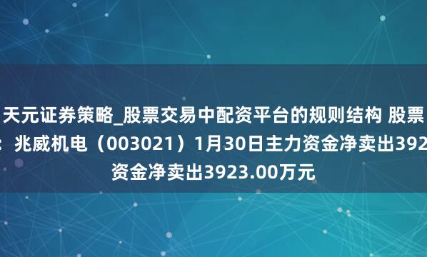 天元证券策略_股票交易中配资平台的规则结构 股票行情快报：兆威机电（003021）1月30日主力资金净卖出3923.00万元