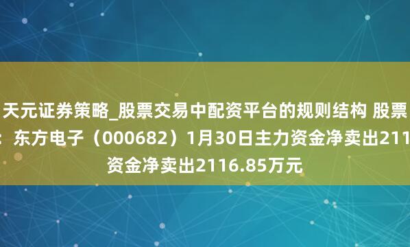 天元证券策略_股票交易中配资平台的规则结构 股票行情快报：东方电子（000682）1月30日主力资金净卖出2116.85万元