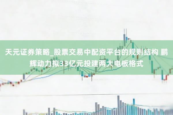 天元证券策略_股票交易中配资平台的规则结构 鹏辉动力拟33亿元投建两大电板格式